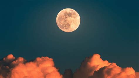 What to know about the ‘Beaver blood moon’ on Nov..